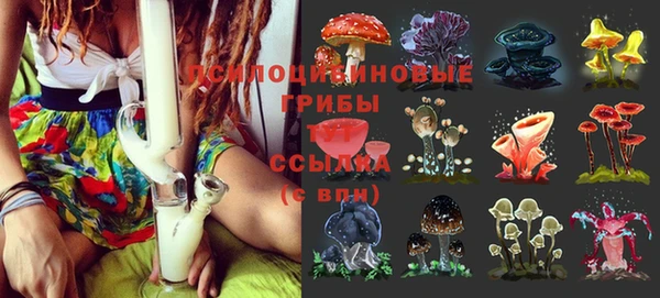 метадон Баксан