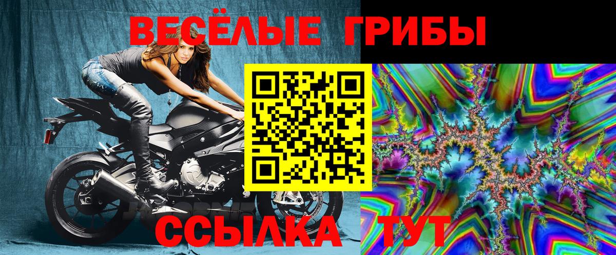 Псилоцибиновые грибы Psilocybe  Вход с VPN  Усть-Джегута  Псилоцибиновые грибы Psilocybe 